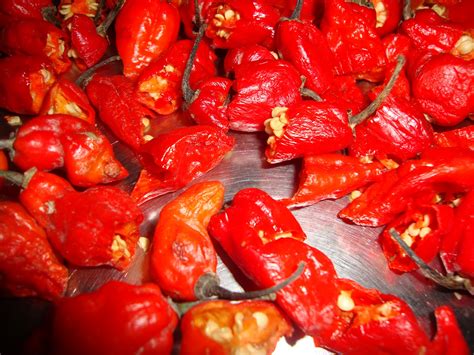 Khorisa: Pickle: Bhut Jolokia or Naga Morich (Ghost Pepper)