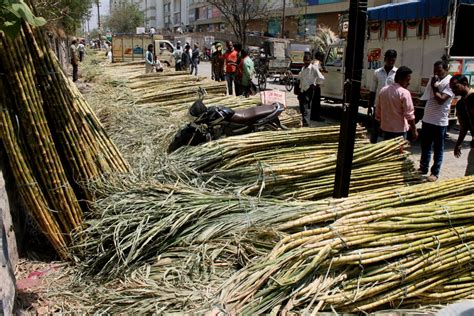 Centre sour as sugar exporters miss target by wide margin - IBTimes India