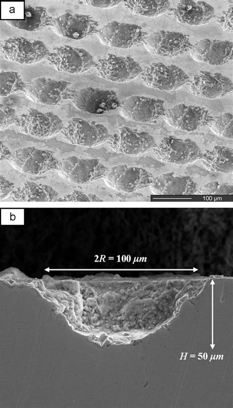 Microscope Image Processing 的图像结果