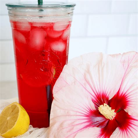 Tazo Passion Fruit Iced Tea Recipe at Spencer Erlikilyika blog