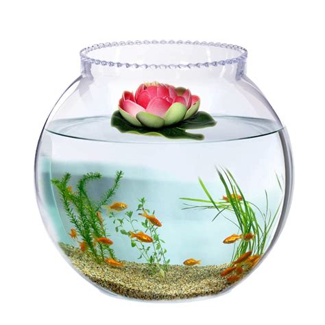 Urban Moon Crystal Clear Zig Zag Neck Bowl Aquarium, Round Collar Vase ...