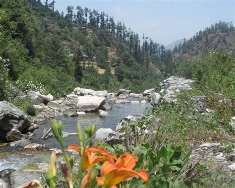 Jibhi Tourism (2023): Best of Jibhi, India - Tripadvisor