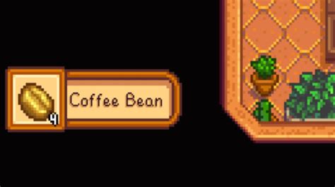 How to Find and Process Coffee Beans in Stardew Valley