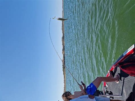 CONVENTO DA ORADA - MONSARAZ (Alentejo) - Hotel Reviews, Photos, Rate ...