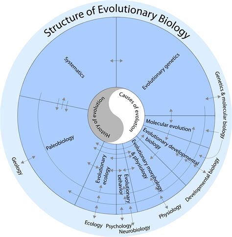 Image result for Evolutionary Biology Explained