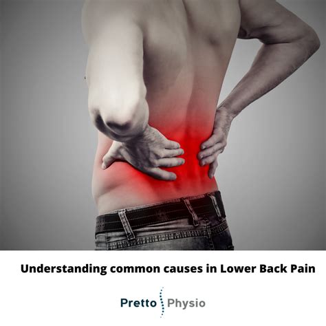 Understanding the Common Causes of Lower Back Pain - Pretto Physiotherapy