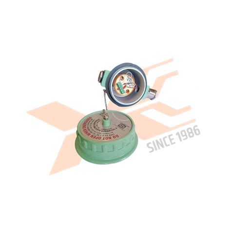 PT – 100 Simplex Type – 6mm X 250mm – FLP Head with Transmitter – Yog ...