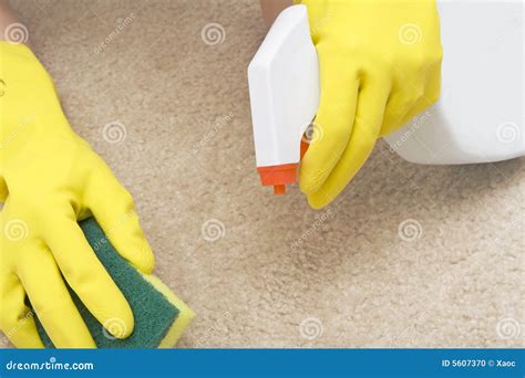 Cleaning stain on a carpet stock photo. Image of sanitary - 5607370