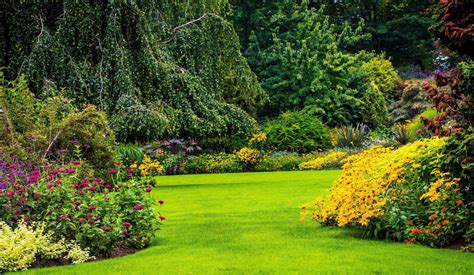 Image result for Garden Sheds at Lowe's