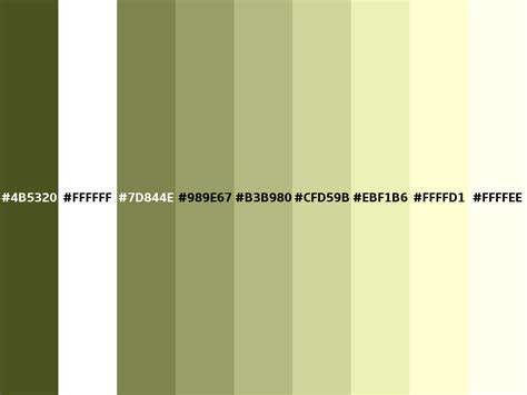 Army green color (Hex 4B5320)