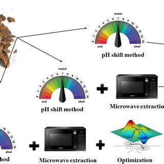 Image result for Protein Extraction Process