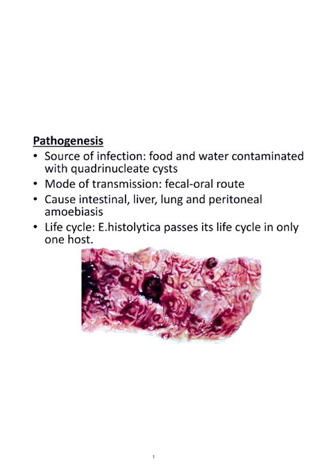 Kaagaz 20240708 193405578965 - Pathogenesis Source of infection: food ...