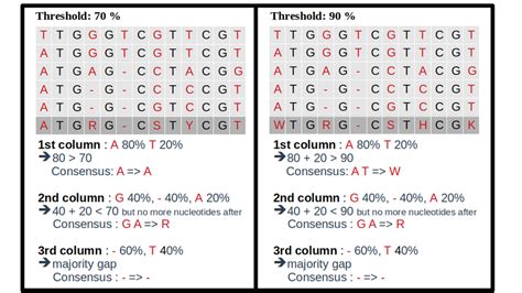 Rezultat imagine pentru Consensus Sequence Example