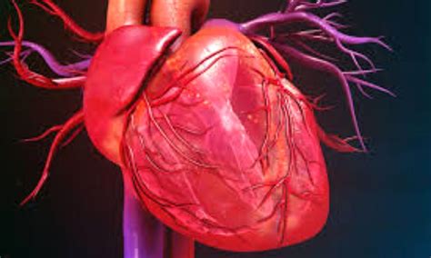 Stress Test-Induced Ventricular Arrhythmias tied to increased rtality ...