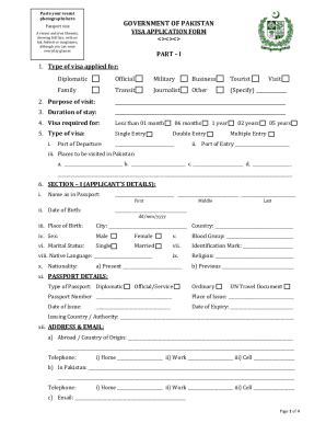 PK Consulate General Visa Application Form - Fill and Sign Printable ...
