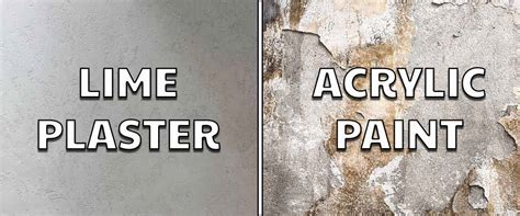 Lime Plaster vs. Acrylic Paint: Superior Choice Explained