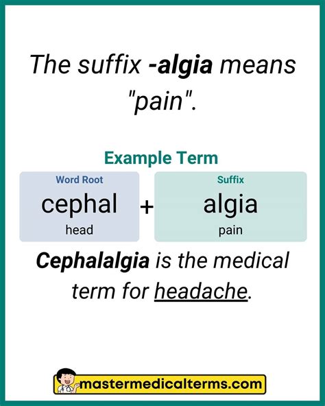 Medical Suffix Meaning