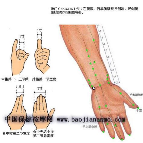 全身360穴 精取10要穴 - 每日头条