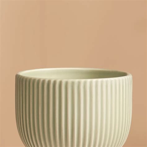 Earthy Flower Vase Online - Premium Vase | Nestasia