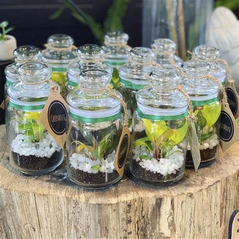 Learn To Make A Sealed Terrarium Workshop | LBB, Bangalore