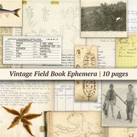 Buy Handwritten Log Book Online In India - Etsy India
