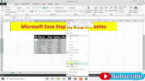 Image result for Excel Program Tutorial in Pashto