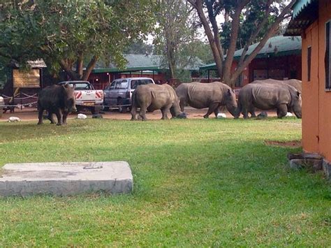 ZIWA RHINO AND WILDLIFE RANCH (Nakitoma) - Campground Reviews, Photos ...
