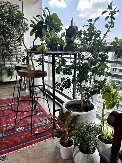 Shagun Singh of Homework Design Studio designs a balcony garden in ...