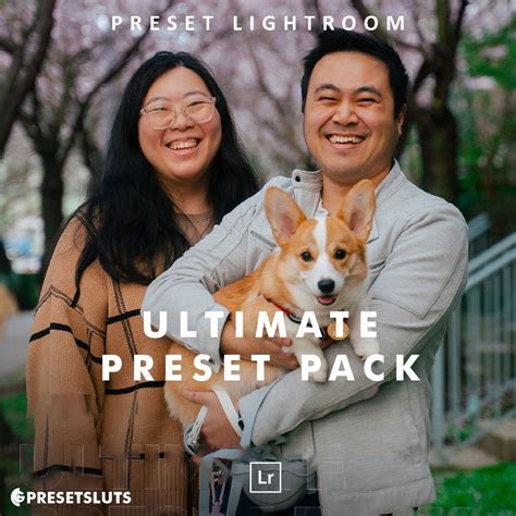 Jual Justjn Veenema Ultimate Preset Bundle Lightroom Preset Desktop ...