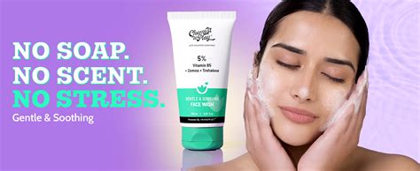 Chemist At Play Gentle & Soothing Facewash | 100% soap & fragrance-free ...