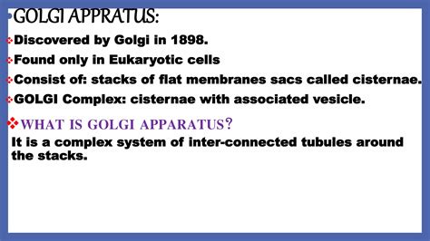 Ribosomes, golgi apparatus, lysosomes | PPTX