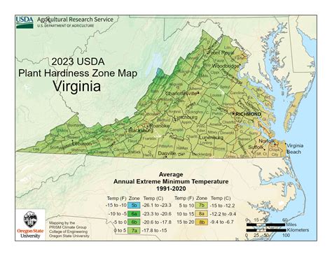 Virginia Vegetable Planting Calendar: A Quick and Easy Guide - Ponics Life