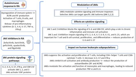 Novel Potential Janus Kinase Inhibitors with Therapeutic Prospects in ...