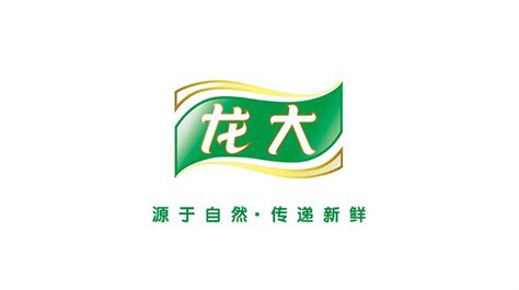 龙大食品集团logo设计及品牌VI-力英品牌设计顾问公司