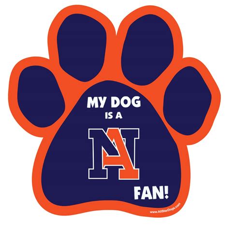 Norfolk Academy Logo