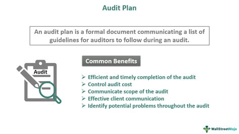 Audit Plan Example 的图像结果