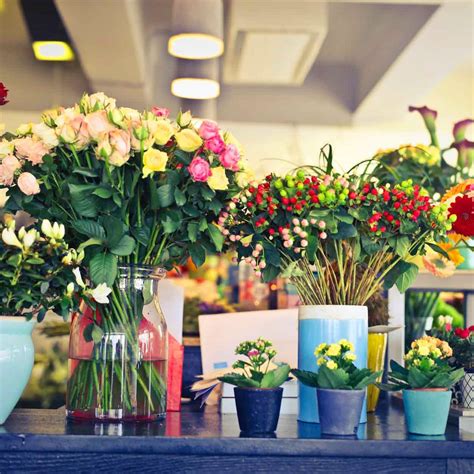 Best Flower Shops In Aundh | LBB, Pune