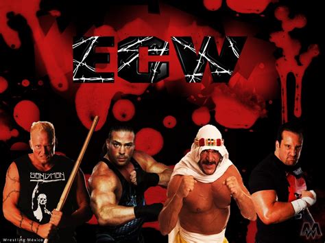 Image result for ECW Final