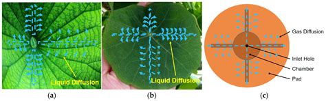 A Computational Fluid Dynamics-Based Study on the Effect of Bionic ...