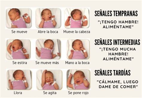 Desafíos en la interpretación de señales de hambre y saciedad