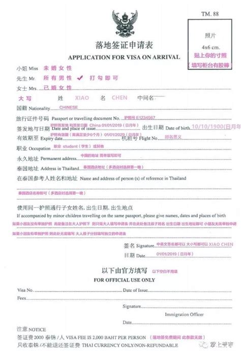 泰国落地签照片尺寸要求 附入境申请表中文对照表_旅泊网