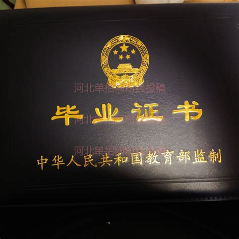 石家庄经济学院2002年本科毕业证样本(模板)-受益网