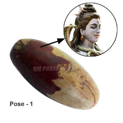 Rudra Mukha Nageshwar Banlingam Singham Narmada Shivling