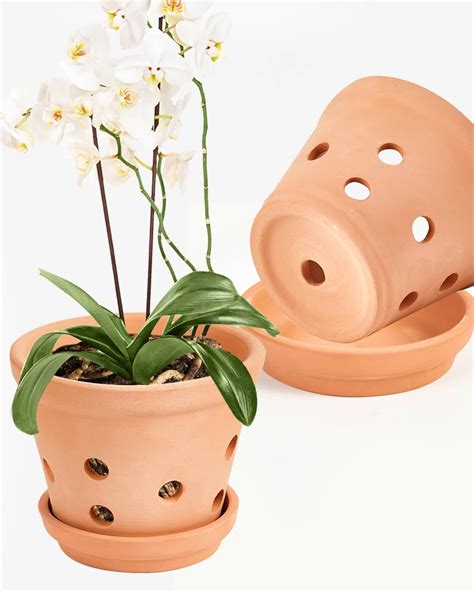 Amazon.com: vensovo 8 Inch Terracotta Orchid Pots with Holes and ...
