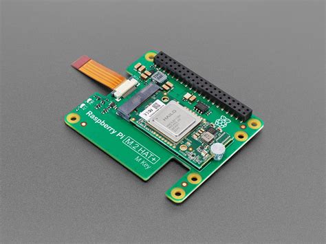 Raspberry Pi AI Kit with M.2 HAT and Hailo AI Module - Thingbits India