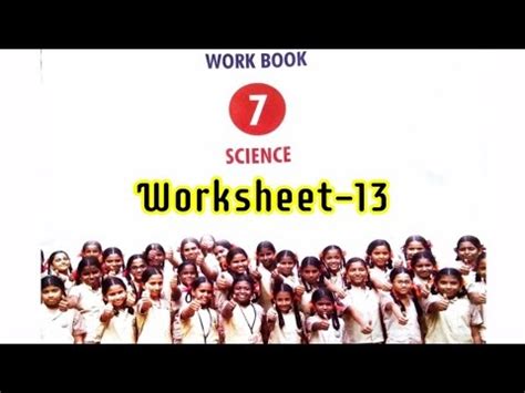 7th Science Work Sheet 13 Bridge Course Answer Key