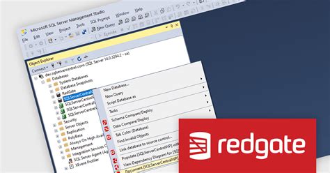 Image result for What Is a Text Document for SQL