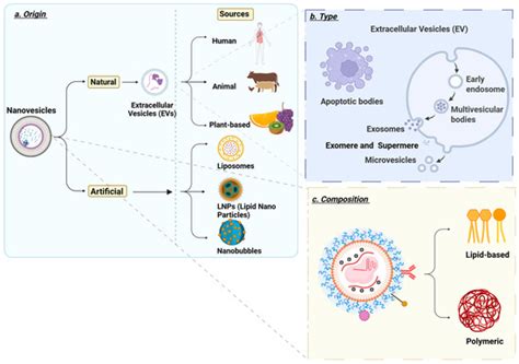 Targeted Hepatic Delivery of Bioactive Molecules via Nanovesicles ...