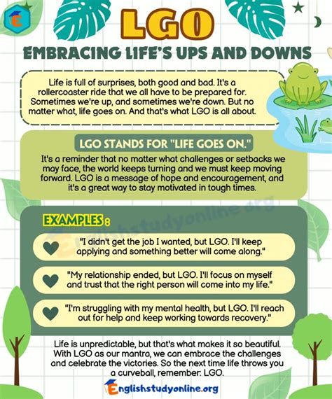 Lgo File 的图像结果