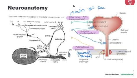 mication